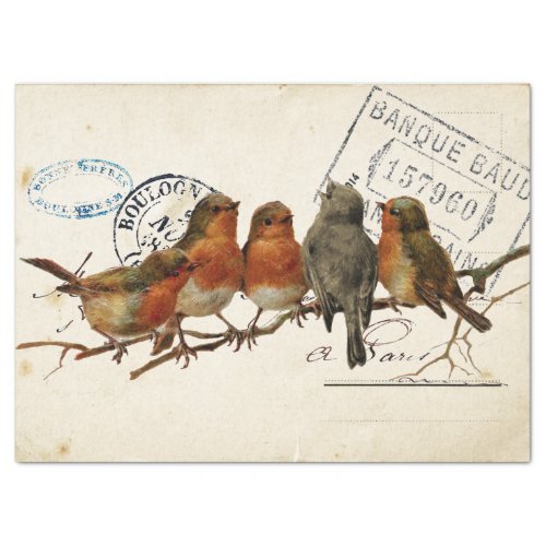 Carte Postale Bird Set 3 of 4 European Robins Tissue Paper