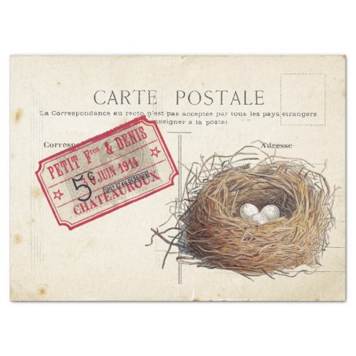 Carte Postale Bird Set 4 of 4 Birds Nest Ticket Tissue Paper