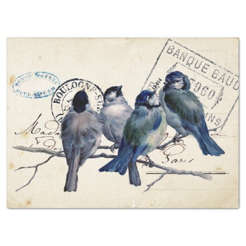 Carte Postale Blue Bird Chickadee French Postmark Tissue Paper