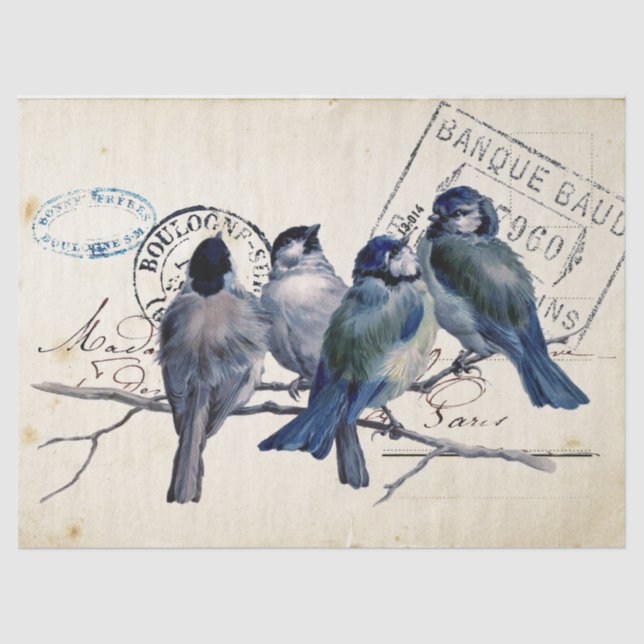 Carte Postale Blue Bird Chickadee French Postmark Tissue Paper (Front)