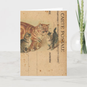 Carte Postale Cats Digital Art Birthday Card