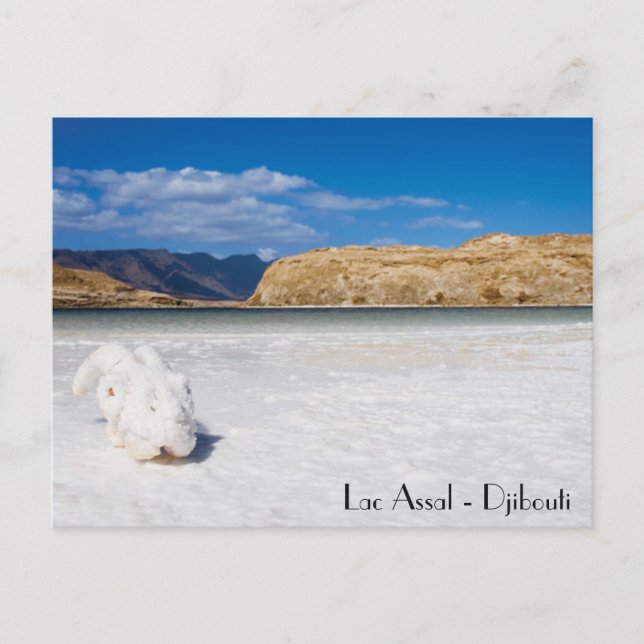 Carte postale Djibouti Postcard (Front)