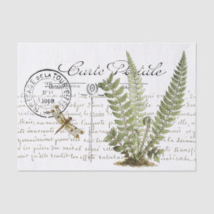 Carte Postale Dragonfly Fern French Script Vintage Tissue Paper