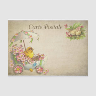 Carte Postale Easter Baby Chick in an Egg Car Tissue Paper