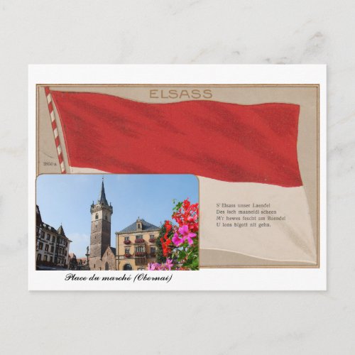 Carte postale Elsass Place du march dObernai Postcard