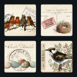 Carte Postale French Bird Nest and Eggs Vintage Coaster Set<br><div class="desc">Four separate collages with vintage birds and carte postale elements,  including songbirds on branches and nests with eggs,  and French postcards and postmarks.</div>