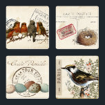 Carte Postale French Bird Nest and Eggs Vintage Coaster Set<br><div class="desc">Four separate collages with vintage birds and carte postale elements,  including songbirds on branches and nests with eggs,  and French postcards and postmarks.</div>
