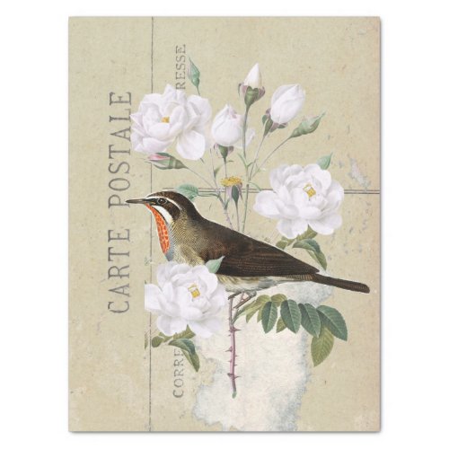 Carte Postale French Bird White Rose Decoupage     Tissue Paper