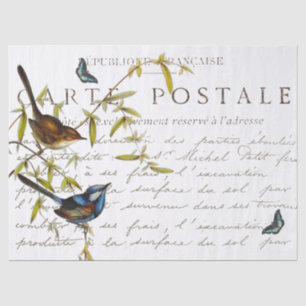 Carte Postale French Script Bird Butterfly Vintage Tissue Paper