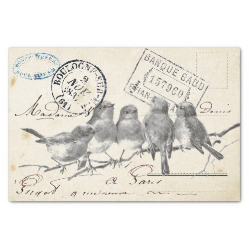 Carte Postale French Songbirds on a Branch Tissue Paper