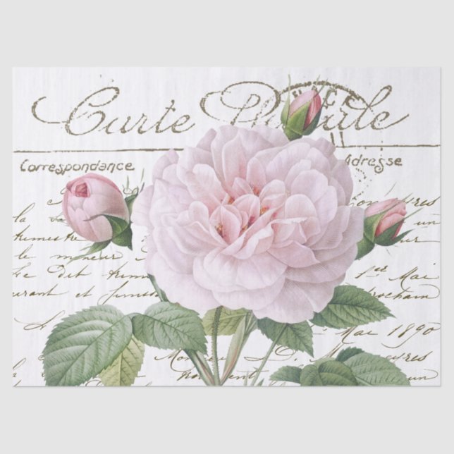 Carte Postale Pink Redouté Rose Gold French Script Tissue Paper (Front)