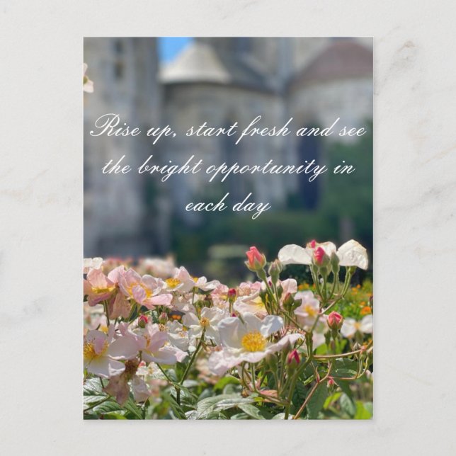 Carte postale postcard (Front)