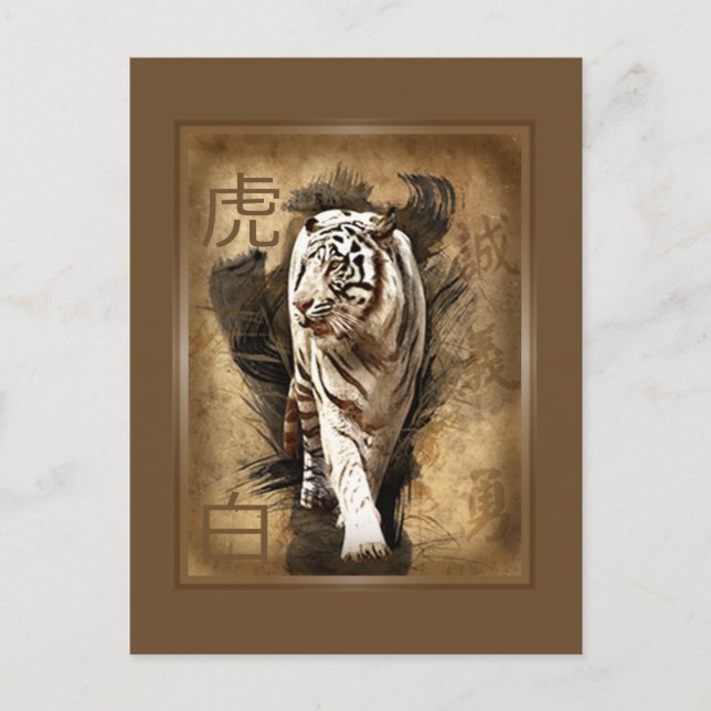 Carte postale tigre blanc postcard (Front)