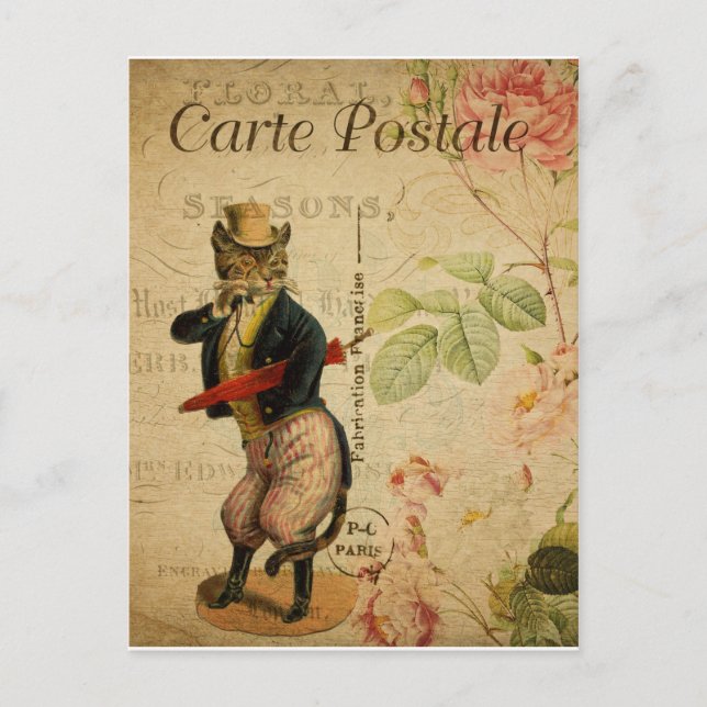 Carte Postale. Vintage Cat. Postcard (Front)