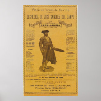Cartel para la despedida del torero Bull Fighter Poster