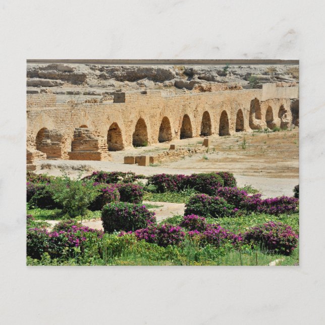 Carthage ancient Punic city, destroyed and Postcard (Front)