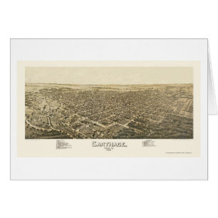 Carthage, MO Panoramic Map - 1891