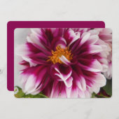 Cartheuserin (Front/Back)