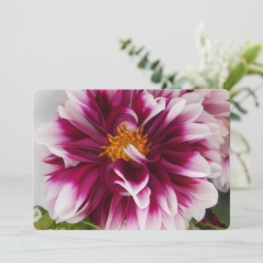 Cartheuserin (Standing Front)