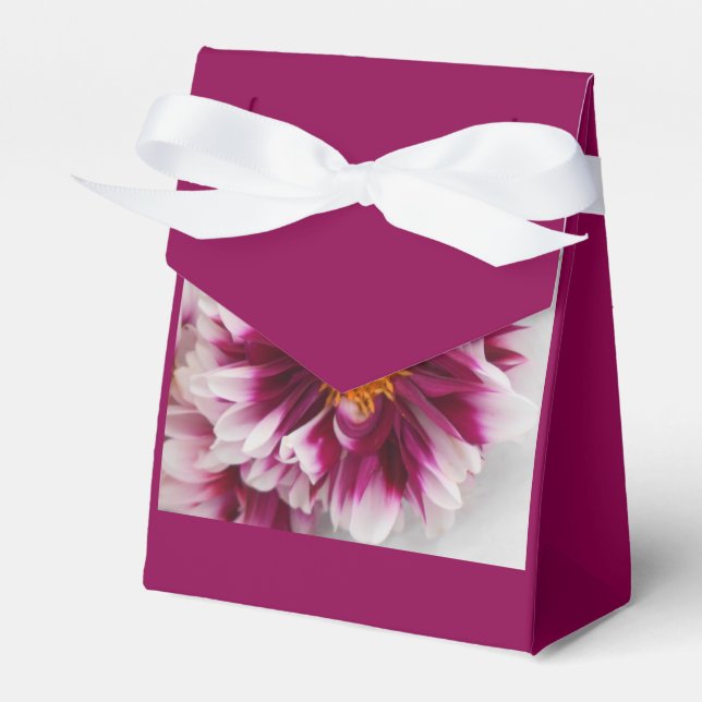 Cartheuserin Favor Boxes (Front Side)