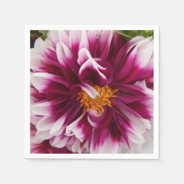 Cartheuserin Paper Napkins (Front)