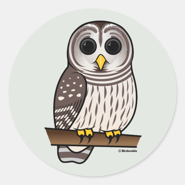 Cartoon Barred Owl Classic Round Sticker (Front)