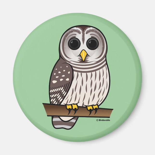 Cartoon Barred Owl Magnet (Front)
