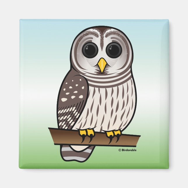 Cartoon Barred Owl Magnet (Front)