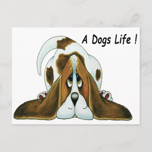 Cartoon Basset Hound A Dogs Life Postcard