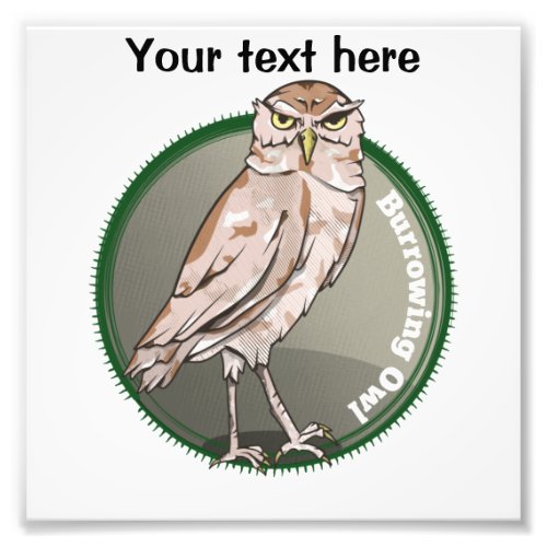 Cartoon Burrowing Owl Photo Print
