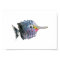 Cartoon Butterfly Fish Children's Wall Art Poster