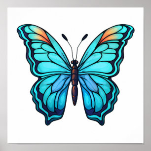 Cartoon butterfly illustration poster