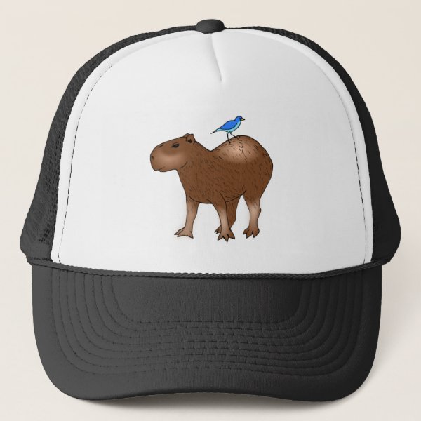 Cartoon Capybara Gifts on Zazzle