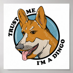 Cartoon Dingo Poster