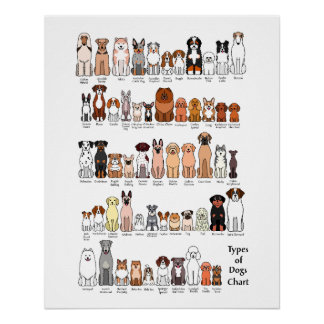 cartoon dog breeds poster