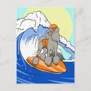 Cartoon dog poodle surfing postcard