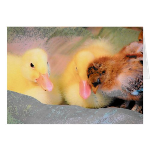 Cartoon ducks and chick