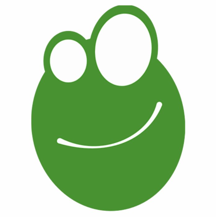 Cartoon Frog Face Photo Sculptures