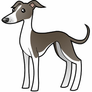 Greyhound Cartoon / Download 630 cartoon greyhound stock illustrations