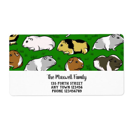 Cartoon guinea pig pattern label