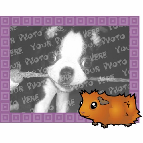 Cartoon Guinea Pig Photo Frame scruffy Cutout