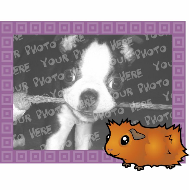 Cartoon Guinea Pig Photo Frame (scruffy) Cutout (Front)