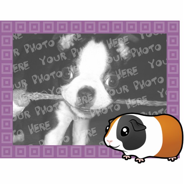 Cartoon Guinea Pig Photo Frame (smooth hair) Statuette (Front)