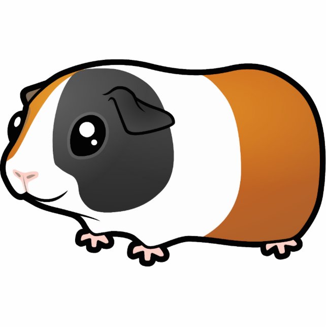 Cartoon Guinea Pig (smooth hair) Cutout (Front)