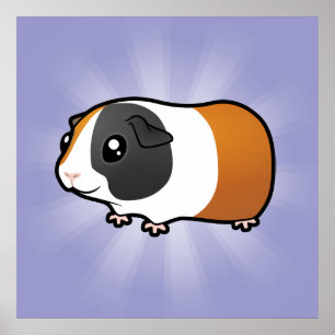 Cartoon Guinea Pig (smooth hair) Poster