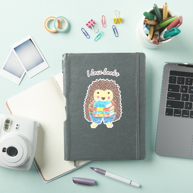 Cartoon Hedgehog Carrying Books Vinyl Sticker (iPad Cover)