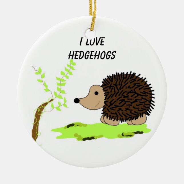 Cartoon Hedgehog Ceramic Ornament (Front)
