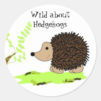 Cartoon Hedgehog Classic Round Sticker