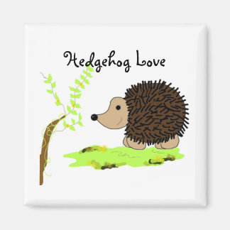 Cartoon Hedgehog Magnet