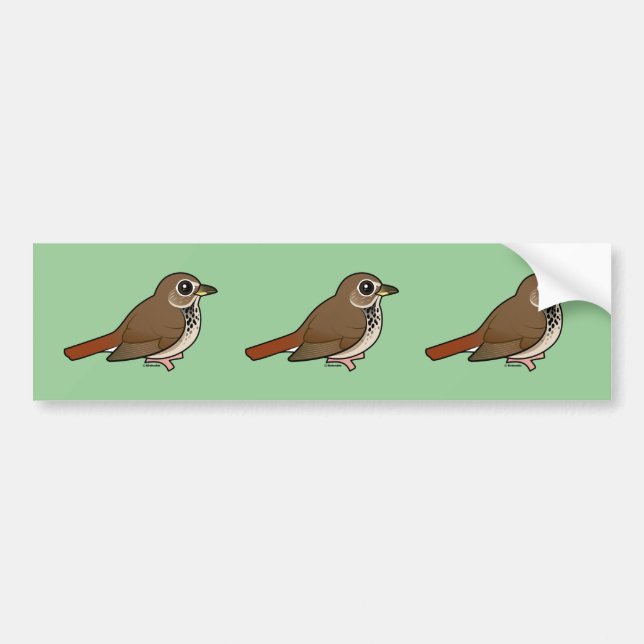 Cartoon Hermit Thrush Bumper Sticker (Front)